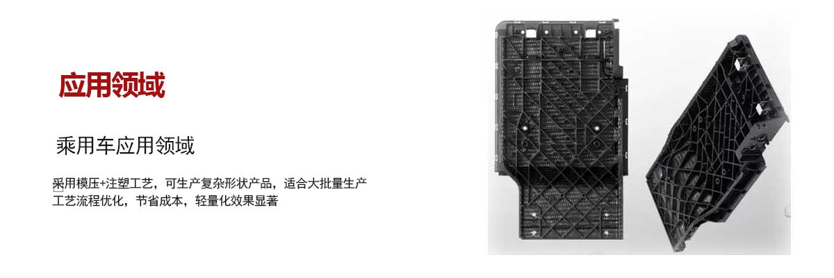 乘用車(chē)應用領域(yù)